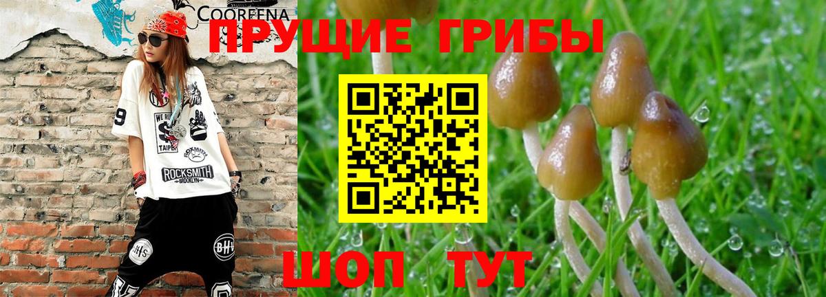 Котельники  Галлюциногенные грибы ЛСД  наркотики  Вход с VPN 
