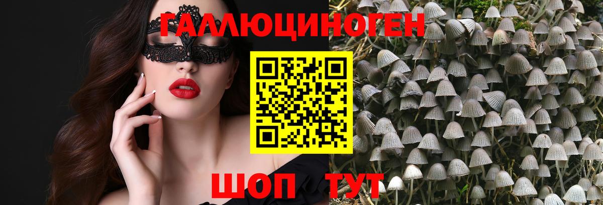 Галлюциногенные грибы прущие грибы Котельники